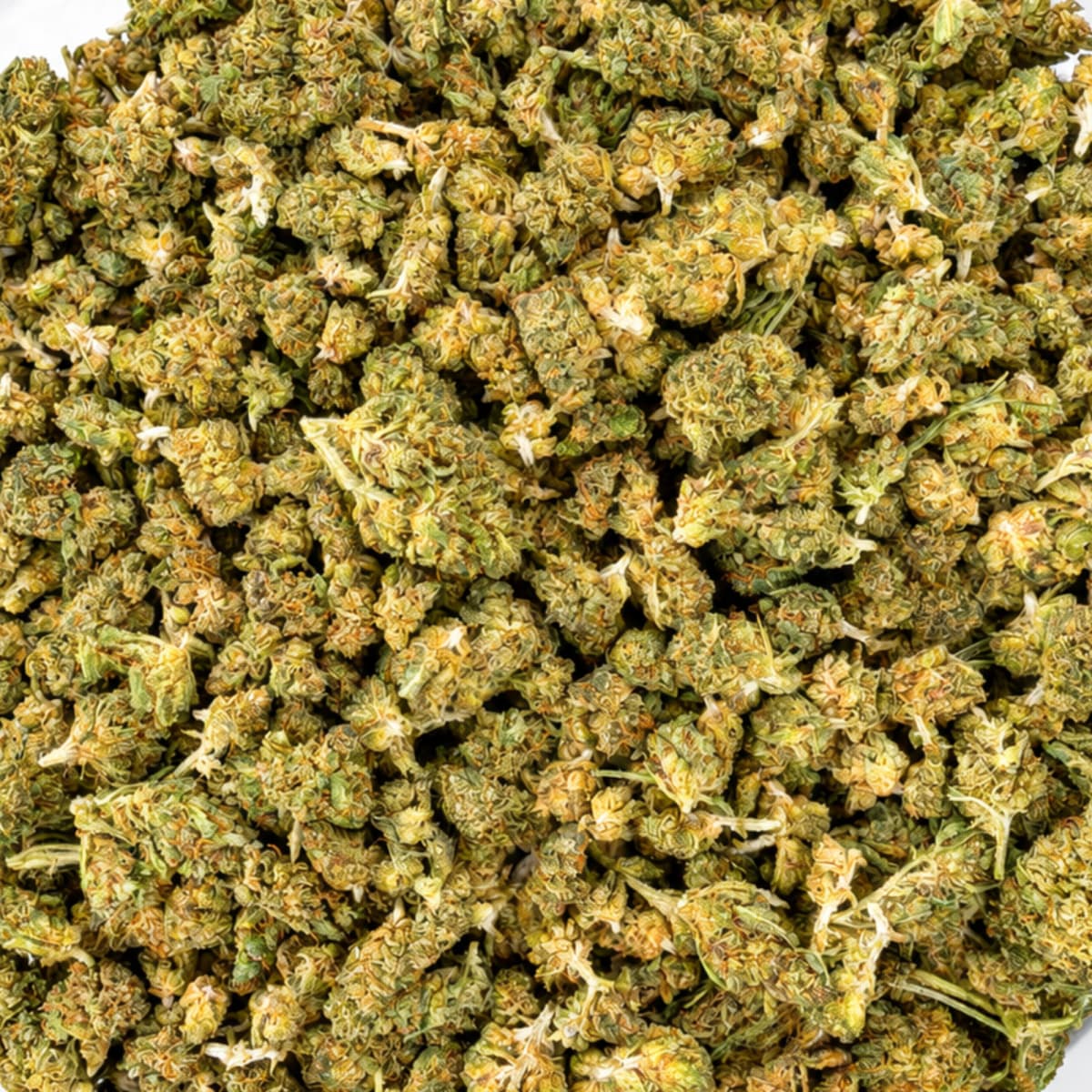Small Buds GreenHouse